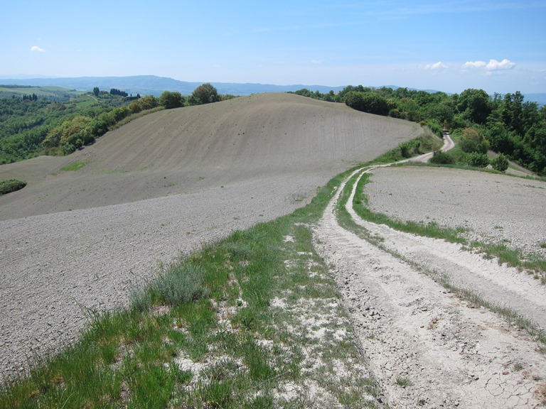 Italy Tuscany, Monte Oliveto Maggiore to Montalcino , Ridgetop track, Walkopedia