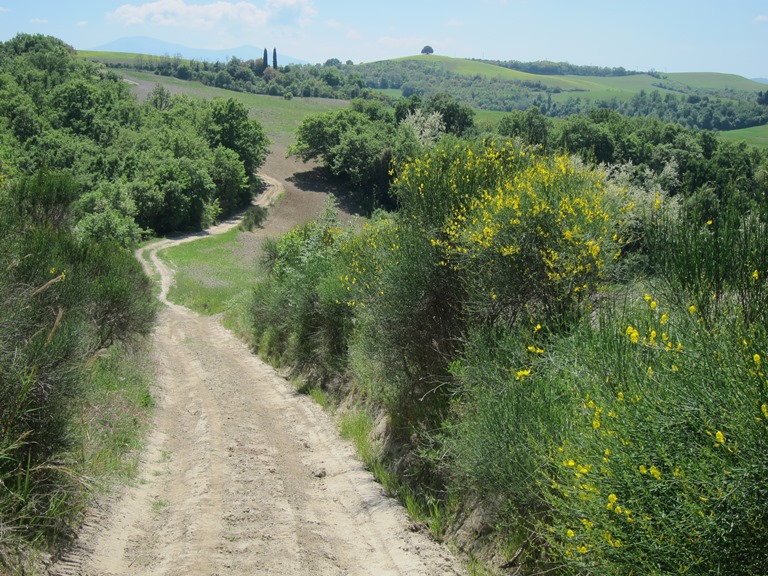 Italy Tuscany, Monte Oliveto Maggiore to Montalcino , Track, Walkopedia