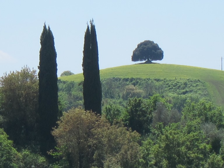 Italy Tuscany, Monte Oliveto Maggiore to Montalcino , Icon, Walkopedia