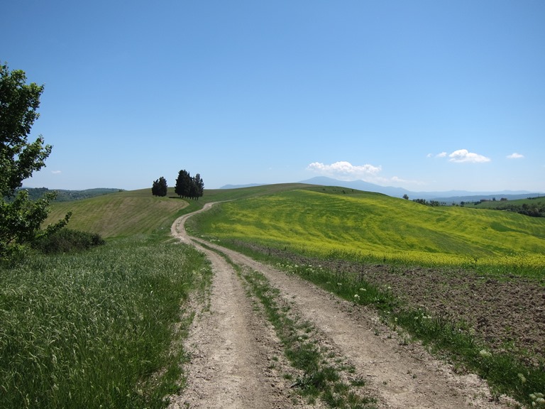 Italy Tuscany, Monte Oliveto Maggiore to Montalcino , More ridgeway, Walkopedia