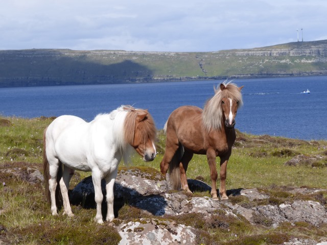 © Kudu Travel Faroe Islands: © Kudu Travel