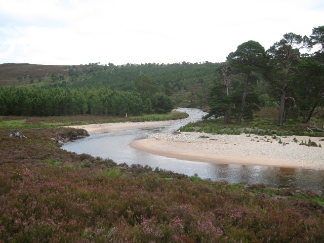 United Kingdom Scotland Cairngorms, Glen Lui, Lower glen, Walkopedia