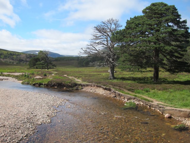 United Kingdom Scotland Cairngorms, Glen Lui, August snow on high Cairngorms, from Derry Lodge, Walkopedia