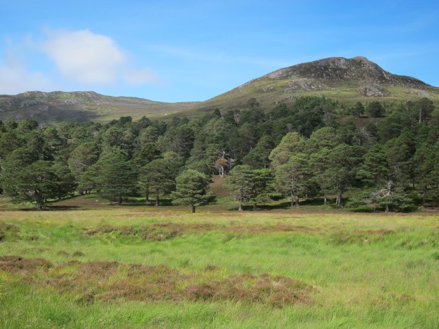 United Kingdom Scotland Cairngorms, Glen Lui, Upper glen, Walkopedia