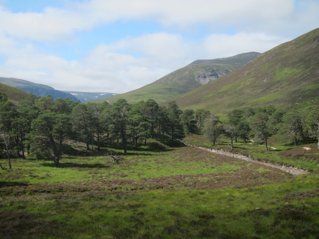 United Kingdom Scotland Cairngorms, Glen Lui, Magical upper Glen Lui, Walkopedia