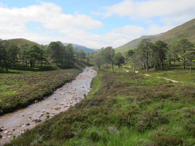 United Kingdom Scotland Cairngorms, Glen Lui, Upper glen, Walkopedia