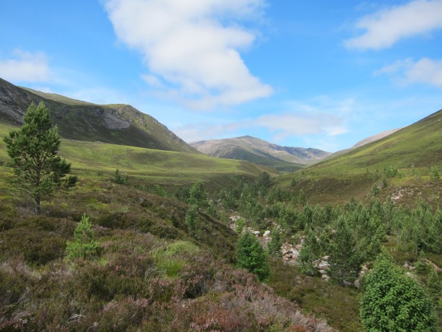 United Kingdom Scotland Cairngorms, Glen Lui, Uppermost glen, Walkopedia