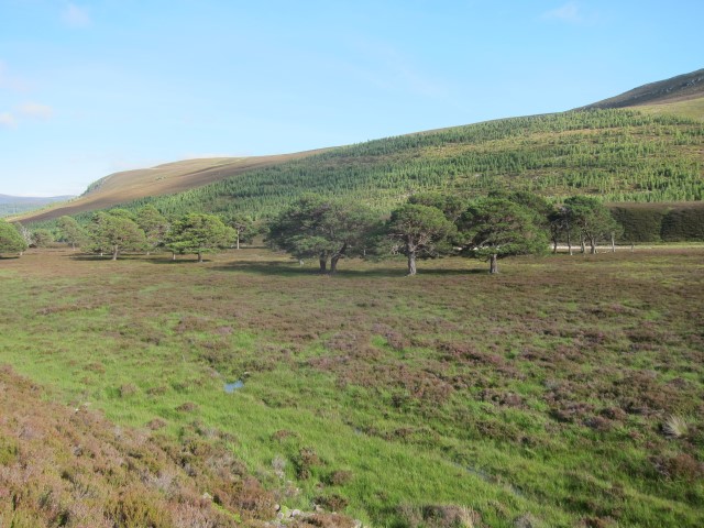 United Kingdom Scotland Cairngorms, Glen Lui, By Linn of Dee, Walkopedia