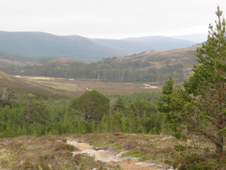 United Kingdom Scotland Cairngorms, Glen Lui, Back down on upper Glen Lui, Walkopedia