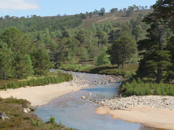 United Kingdom Scotland Cairngorms, Glen Lui, Glen Lui, Walkopedia