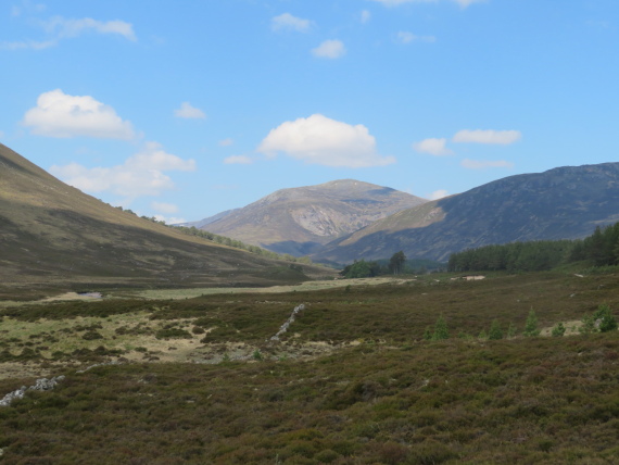 United Kingdom Scotland Cairngorms, Glen Lui, Carn A Mhaim from Glen Lui, Walkopedia