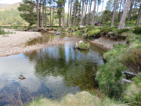 United Kingdom Scotland Cairngorms, Glen Lui, , Walkopedia