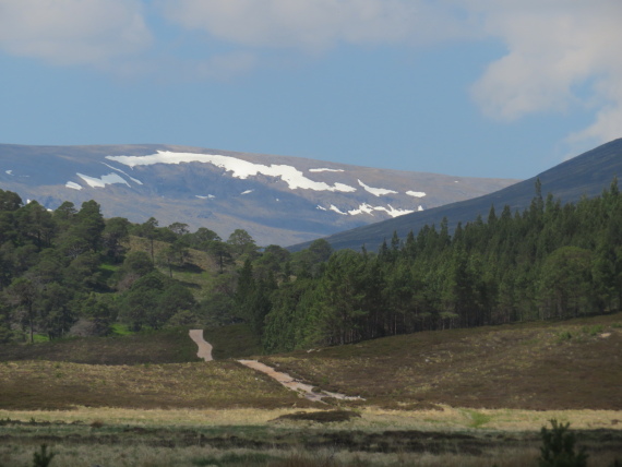 United Kingdom Scotland Cairngorms, Glen Lui, Hills on the far side of Glen Dee, from Upper Glen Lui, Walkopedia