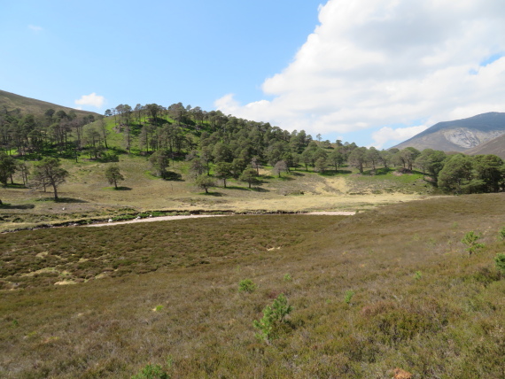 United Kingdom Scotland Cairngorms, Glen Lui, , Walkopedia