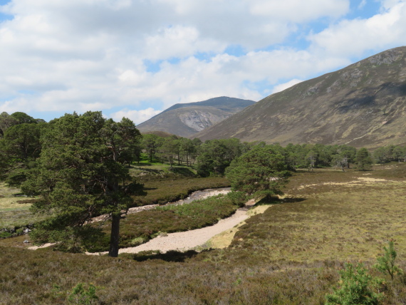 United Kingdom Scotland Cairngorms, Glen Lui, , Walkopedia