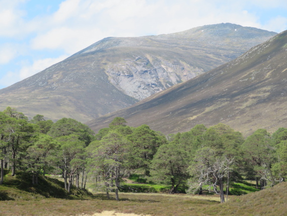 United Kingdom Scotland Cairngorms, Glen Lui, Carn A Mhaim from upper Glen Lui, Walkopedia