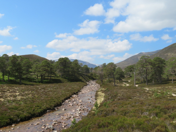 United Kingdom Scotland Cairngorms, Glen Lui, , Walkopedia