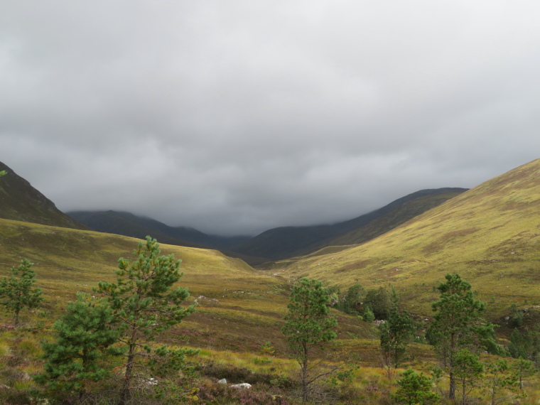 United Kingdom Scotland Cairngorms, Glen Lui, Upper Glen Lui, Walkopedia