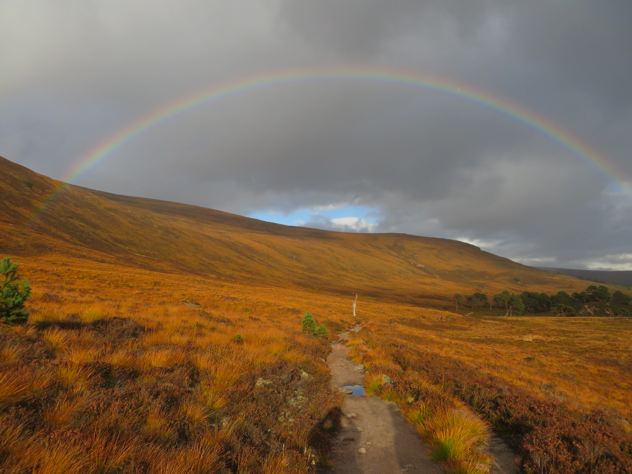 United Kingdom Scotland Cairngorms, Glen Lui, , Walkopedia