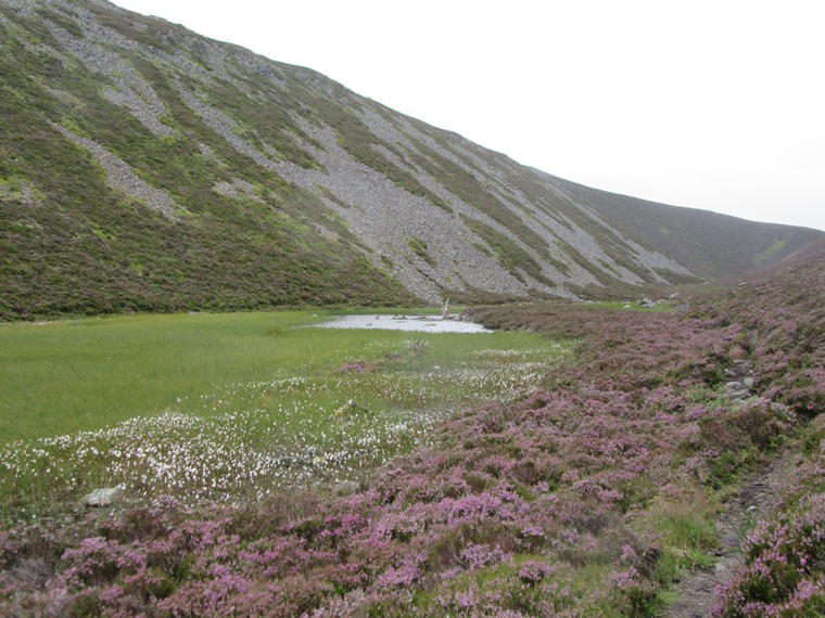 United Kingdom Scotland Cairngorms, Glen Lui, That gap in the ridge between glens Lui and Quoich, Walkopedia