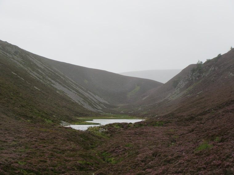 United Kingdom Scotland Cairngorms, Glen Lui, That gap in the ridge between glens Lui and Quoich (2), Walkopedia