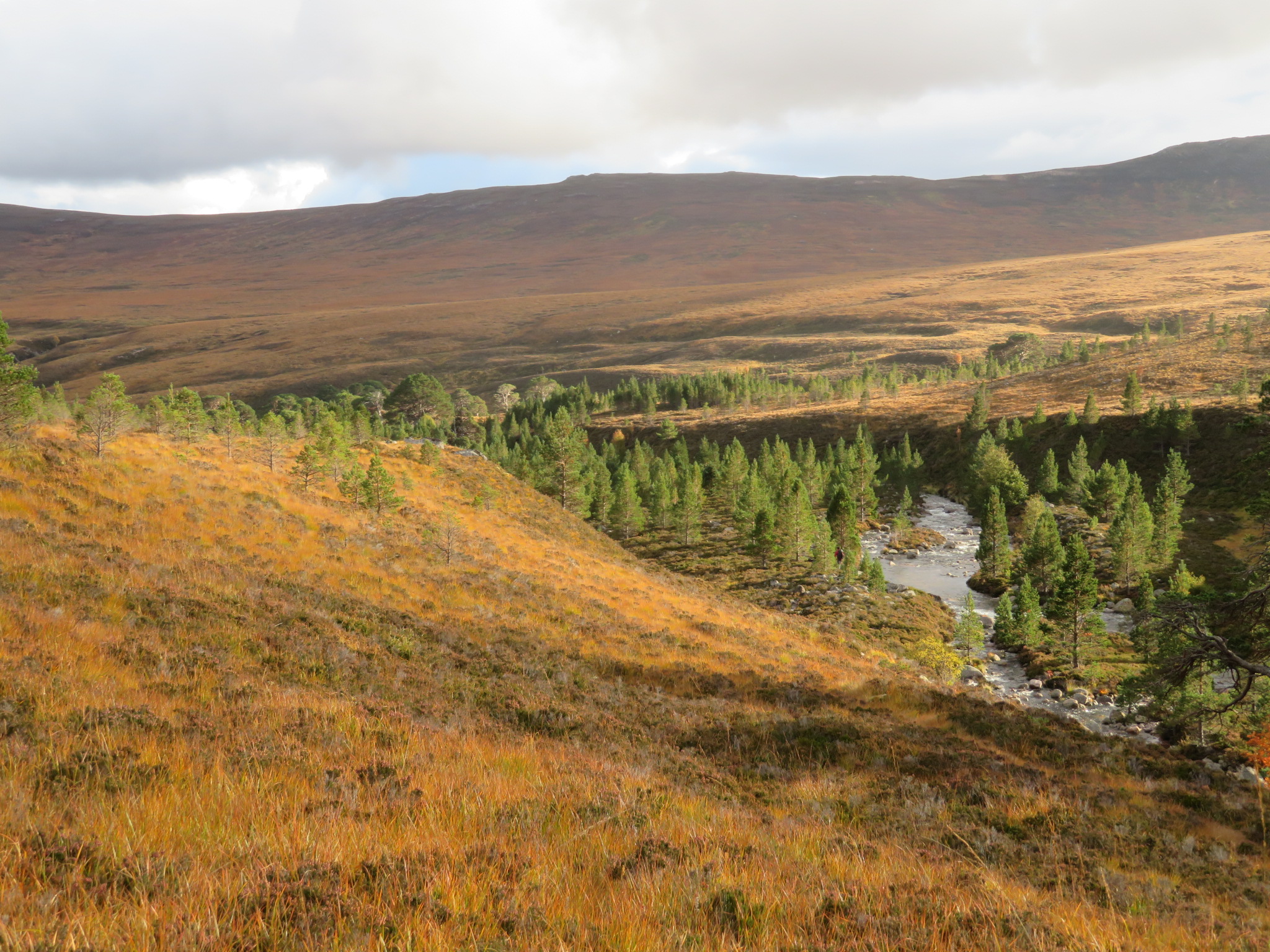 United Kingdom Scotland Cairngorms, Glen Lui, Upper GL, October, Walkopedia