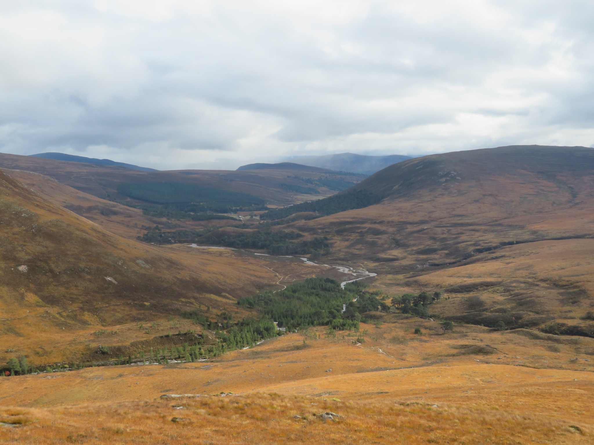 United Kingdom Scotland Cairngorms, Glen Lui, Upper GL from Carn a Mhaim, October, Walkopedia