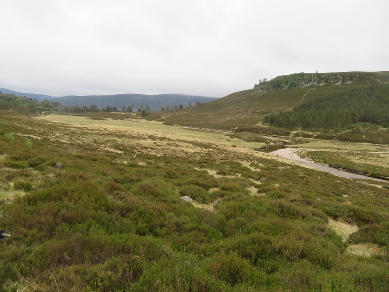 United Kingdom Scotland Cairngorms, Glen Lui, Upper Glen Lui , Walkopedia