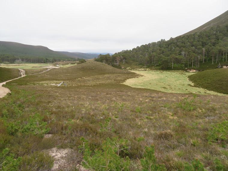 United Kingdom Scotland Cairngorms, Glen Lui, Upper Glen Lui , Walkopedia