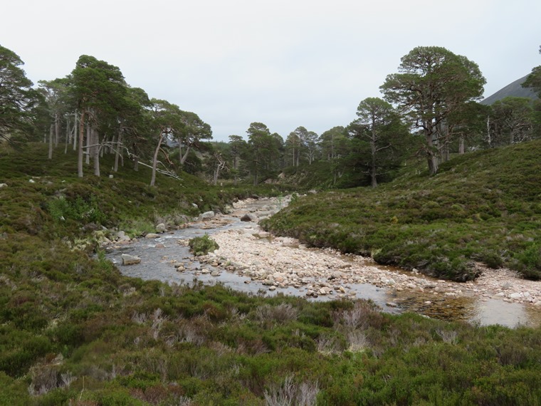 United Kingdom Scotland Cairngorms, Glen Lui, Upper Glen Lui , Walkopedia