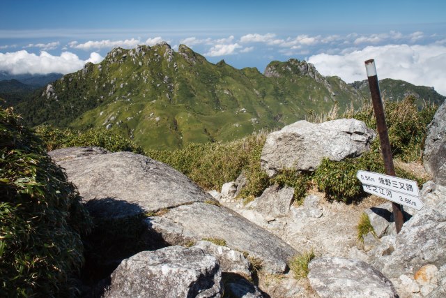 Japan Nansei-shoto (SW Islands): Yaku-shima, Yaku-shima Traverse, Mt. Miyanoura-dake, Walkopedia