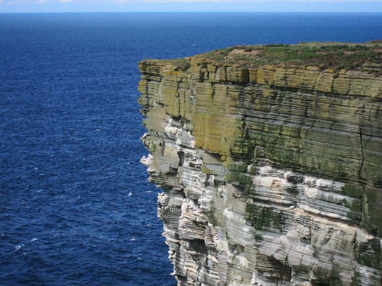 United Kingdom Scotland Orkney Islands, North-west Coast, Westray, Colony near Noup Head, Walkopedia