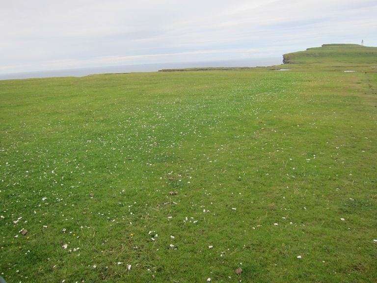 United Kingdom Scotland Orkney Islands, North-west Coast, Westray, Crustacean carnage, Noup Head in distance, Walkopedia