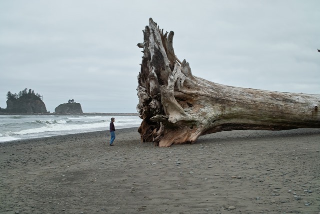 USA North-west/Olympic NP, North Wilderness Coast, La Push, Walkopedia