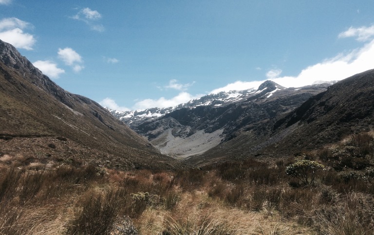 Arthur's Pass Area
Otira Valley - © Anthony Fawcett