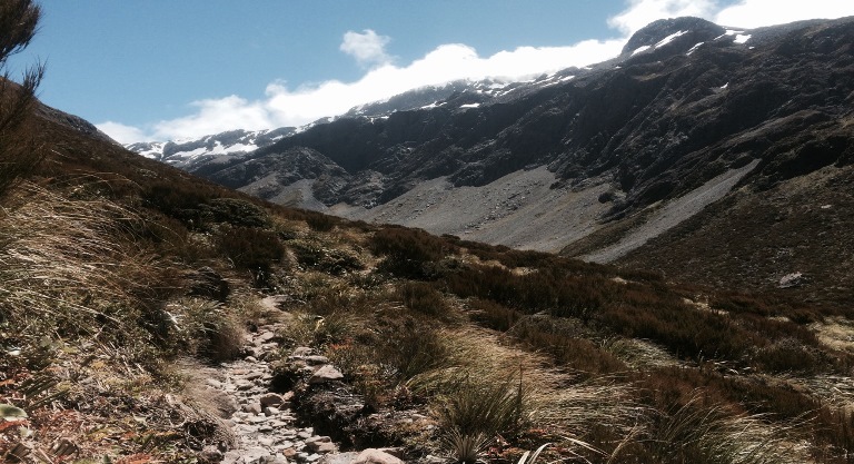 New Zealand South Island/Arthur's Pass Area, Otira Valley, , Walkopedia