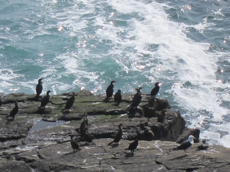 United Kingdom Scotland Orkney Islands, Mull Head, Deerness, , Walkopedia