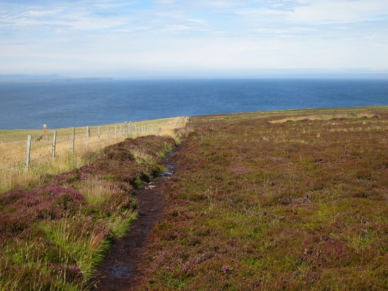 Mull Head, Deerness: North, turning back from sea - © William Mackesy