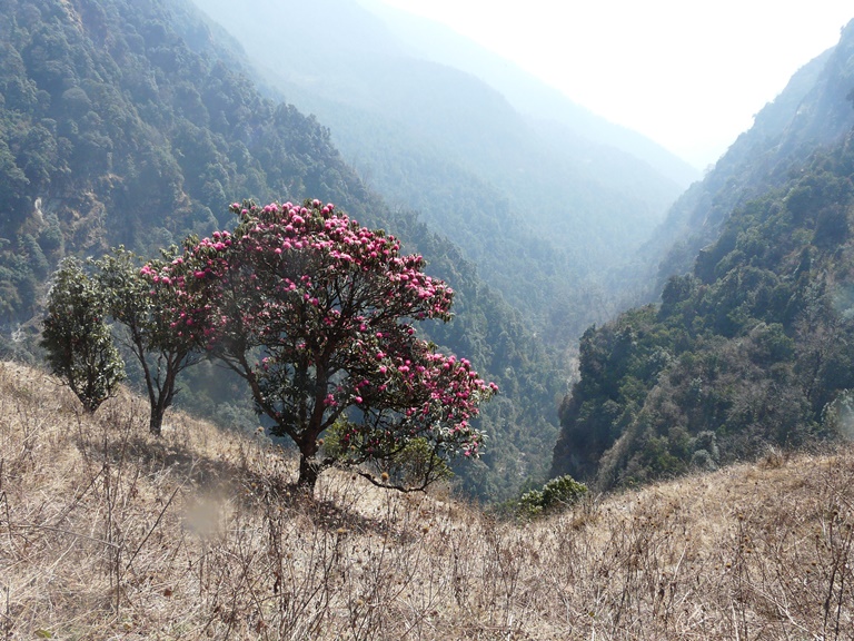 Nepal Annapurna & Mustang, Annapurna Region, Anna Sanctuary Trail , Walkopedia