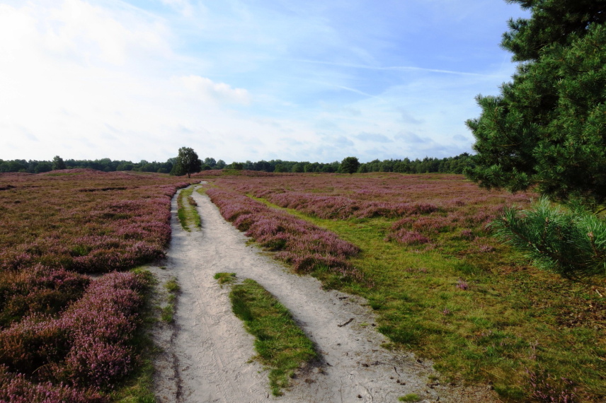 Netherlands East, Pieterpad, , Walkopedia