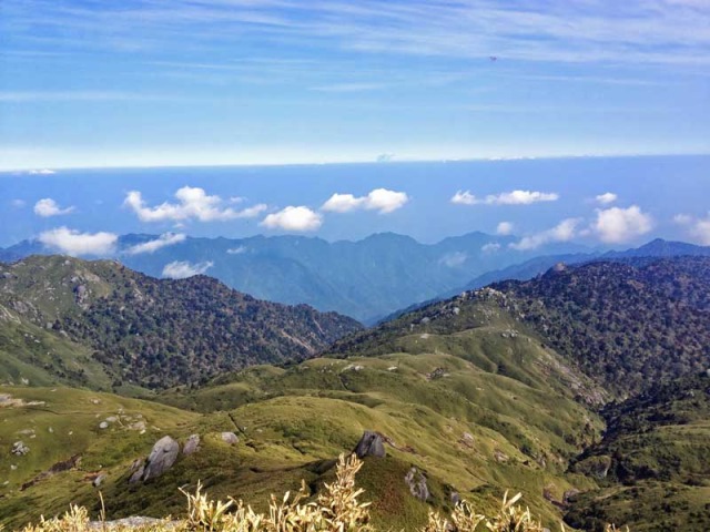 Japan Nansei-shoto (SW Islands): Yaku-shima, Yaku-shima, Nagaishi-daira plateau, Walkopedia