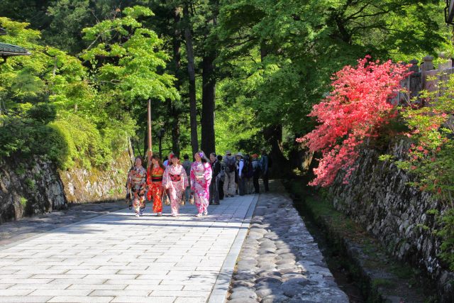 Japan, Basho Tour, Girls in kimonos, Walkopedia