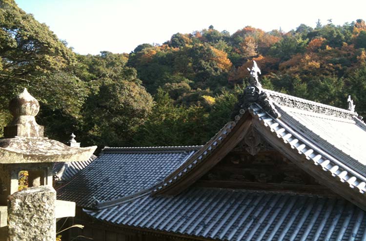 Shikoku
Temple - © Nils Wetterlind