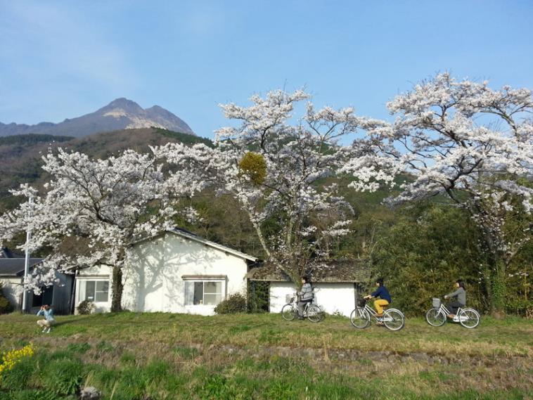 Japan Kyushu, Kunisaki Peninsula, kunisaki mountain yufudake, Walkopedia