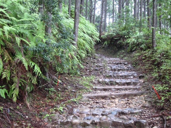 Japan's Pilgrimage Routes : Nakahechi - Fine old trail - © William Mackesy