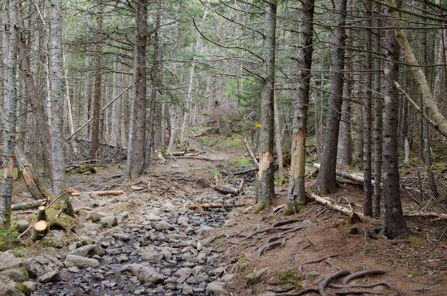 Canada Nova Scotia, Cape Split Trail, Cape Split Trail, Walkopedia