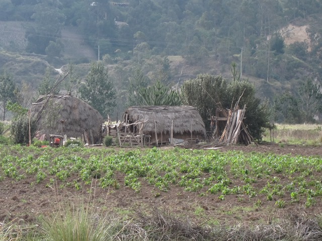 Ecuador Central Andes:Quilotoa Area, Lake Quilotoa Area, , Walkopedia