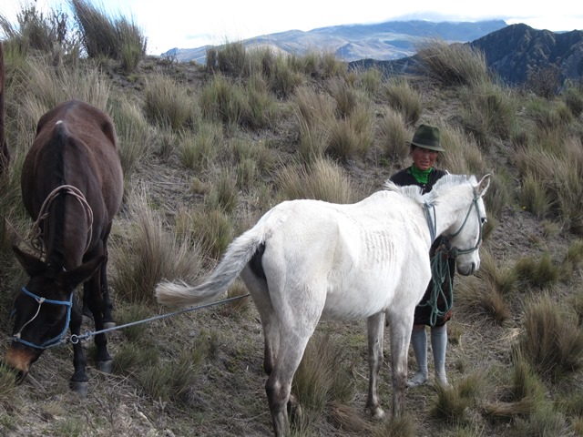 Ecuador Central Andes:Quilotoa Area, Lake Quilotoa Area, , Walkopedia