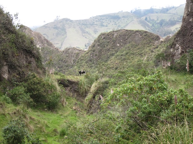 Ecuador Central Andes:Quilotoa Area, Edmundo's Skywalk, , Walkopedia