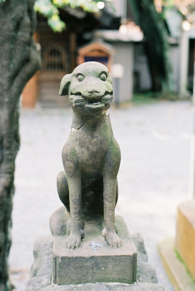 Japan Japanese Alps (Chubu), Ontake-san, A Guardian Dog of Ontake Shrine , Walkopedia